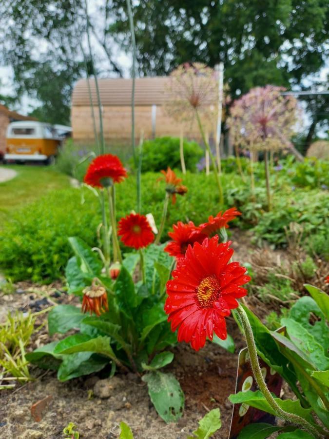 Vakantiewoning Victors Hof Tot 4 Pers Lievegem エクステリア 写真