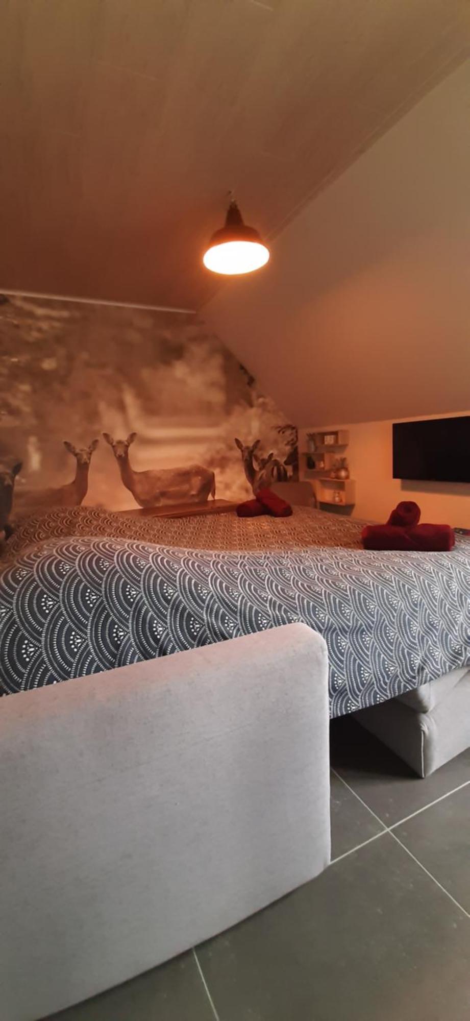 Vakantiewoning Victors Hof Tot 4 Pers Lievegem エクステリア 写真